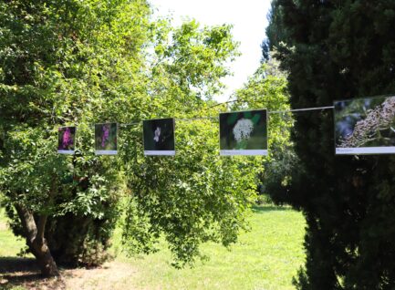 Palude di Onara vista dagli studenti: la mostra fotografica di ITS Digital Academy Mario Volpato