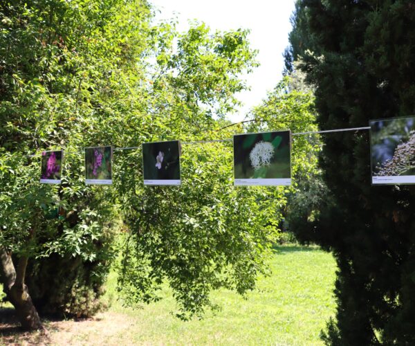 ITS Digital Academy Mostra Onara (2)